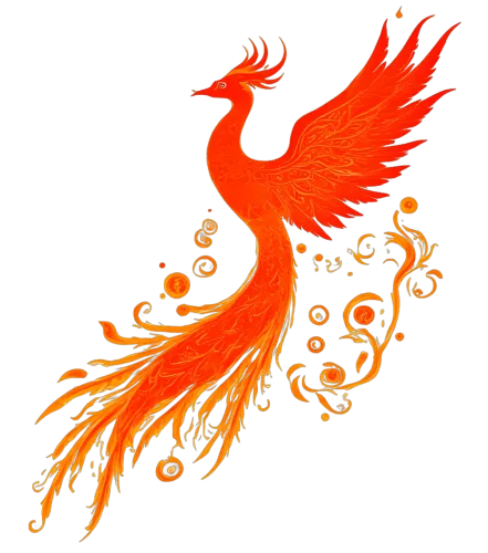 Tee Shirts Printed: Phoenix Rising - Artistic Designs