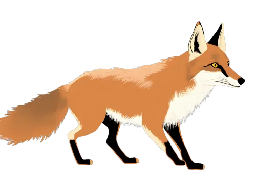 TShirt Design: The Wise Fox - Artistic Designs