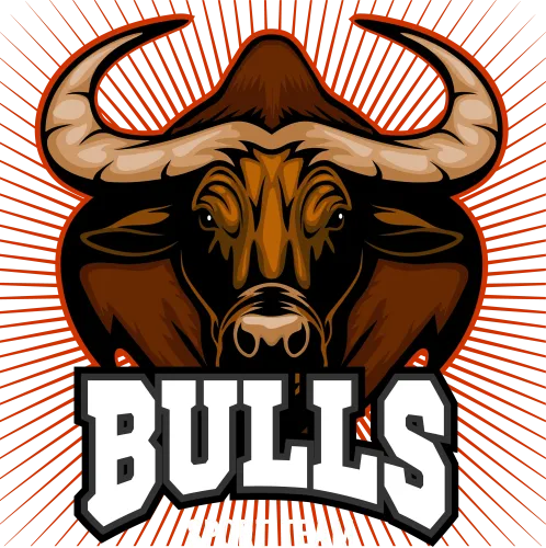 Custom T-Shirt Printing: Unleash Your Inner Bull with Power and Determination