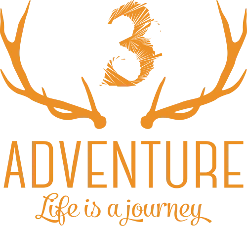 T-Shirts Pattern: Adventure - Life is a Journey with Deer Antlers and Bird