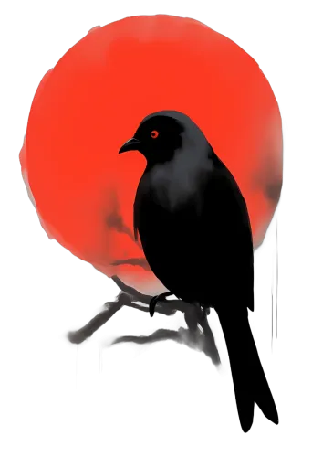 TShirt Design: Raven Silhouette - Guardian of the Night