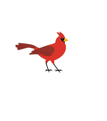 Tee Shirts Printed: Cardinal Bird - Nature's Messenger of Hope