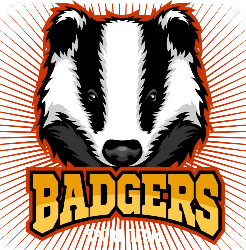 T-Shirt Printing: Bold Badgers Sport Team Mascot