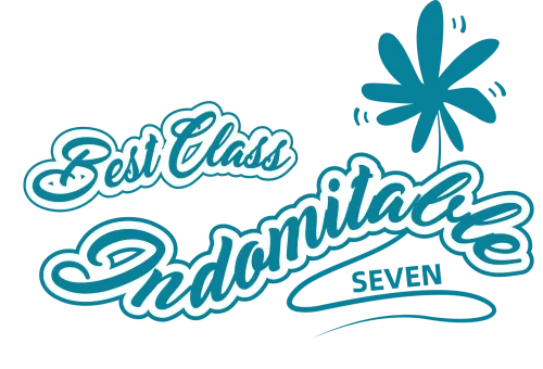 Custom T-Shirt Printing: Best Class Indomitable Seven - Artistic Design