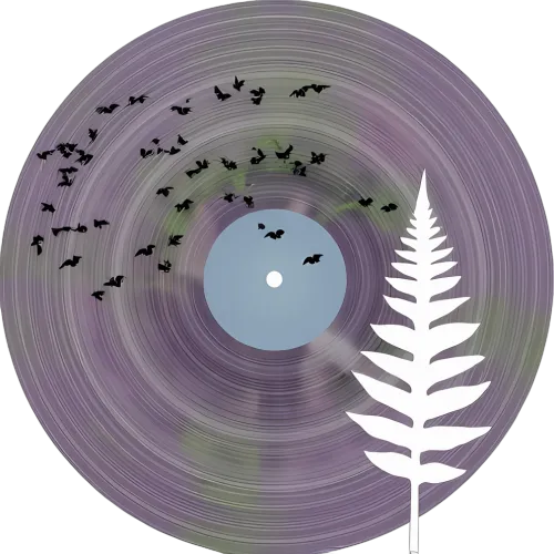 TShirt Printing: Nature's Symphony - Vinyl Record & Birds in Flight