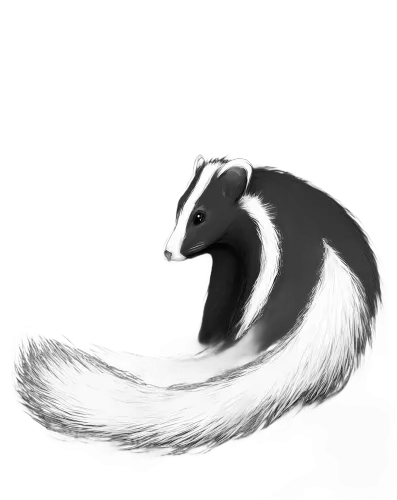 TShirt Printing: Crescent Moon Skunk - Artistic Design