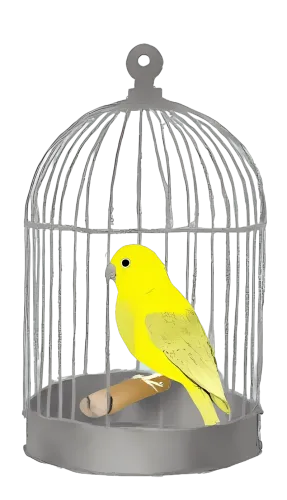 Graphic Tees: Vintage Bird in Cage - Freedom and Escape