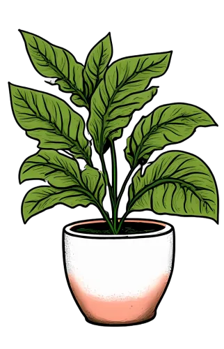 Tee Shirts Printed: Vibrant Green Potted Plant - Nature's Growth