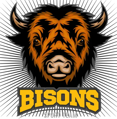 TShirt Printing: Bisons Sport Team - Strength and Unity