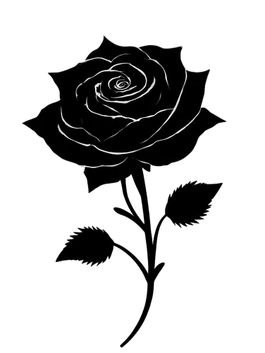 Vintage Rose Elegance Graphic: Timeless Beauty Meets Modern Simplicity