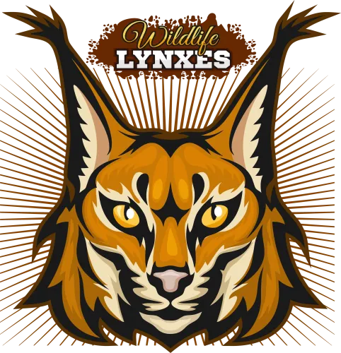 Wildlife Lynxes T-Shirts Pattern: Strength and Resilience