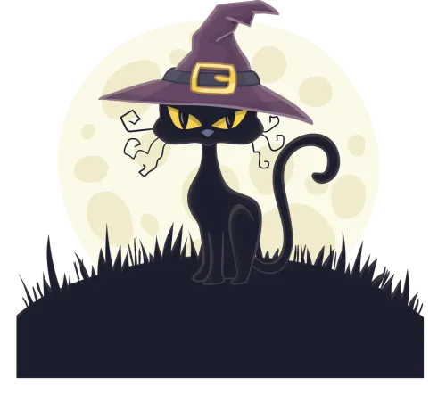 Customized Tee Shirts: Spooky Black Cat in Witch Hat