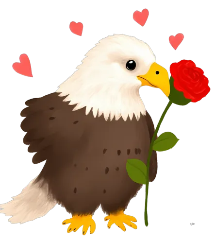 Graphic Tees: Bald Eagle with Red Rose - Artistic Love Design