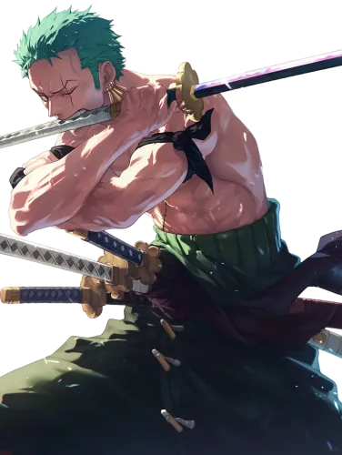 Zoro's Focus - zoro anime t