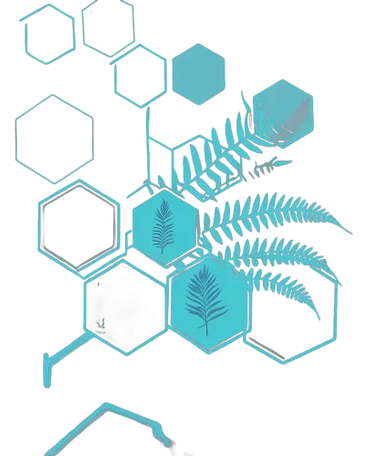 TShirt Design: Nature's Geometry - Hexagon Ferns