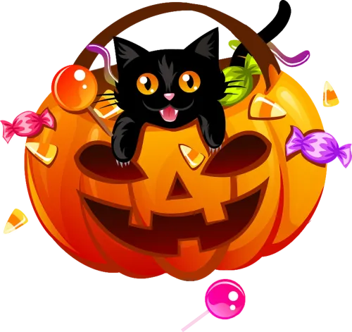 T-Shirts Pattern: Black Cat in a Pumpkin - Halloween Fun