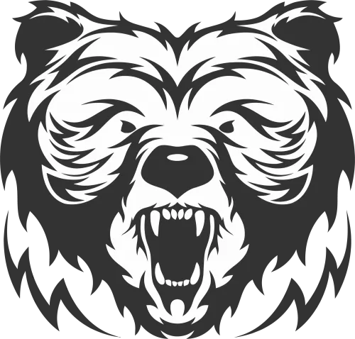 Custom T-Shirt Printing: Unleash Your Inner Beast with Boris the Bear