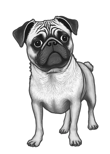 Custom T-Shirt Printing: Expressive Pug Design