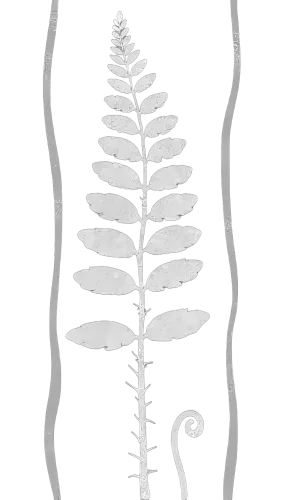 Graphic Tees: Nature's Resilience - Fern Spiral Design