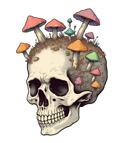 T-Shirts Custom: Skull with Vibrant Mushrooms - Artistic Designs