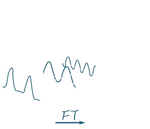 TShirt Printing: Explore the Beauty of Fourier Transform with Mathematical Art