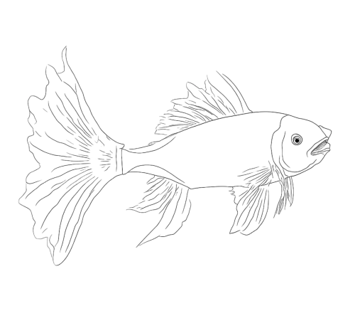 Guppy Fish T-Shirts Design: Minimalist Elegance and Freedom