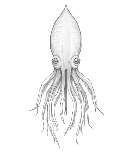 Giant Squid T-Shirts Design: A Tribute to Ocean Mysteries