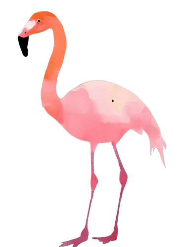 Flamingo Elegance: Minimalist T-Shirt Design