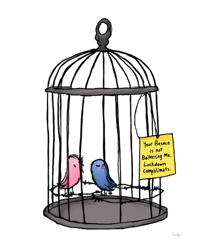 Custom T-Shirt Printing: Whimsical Birds in Cage - Funny & Quotes