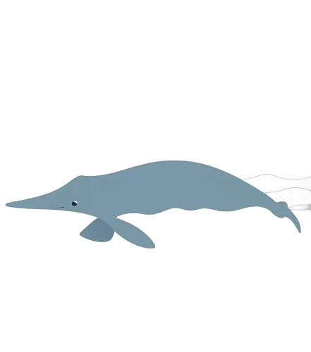 Minimalist Whale Design - Embrace Nature's Majesty and Marine Life