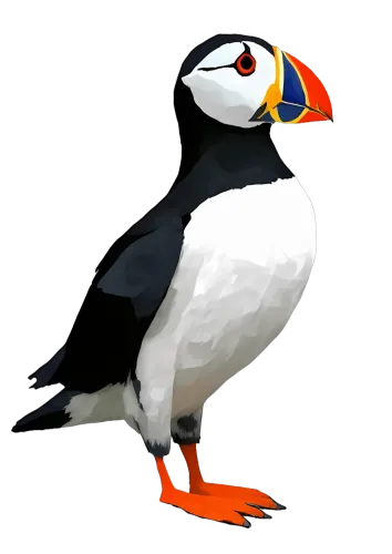 T-Shirts Design: Whimsical Puffin - Artistic and Colorful