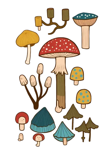 Custom T-Shirt Printing: Enchanted Forest Mushrooms