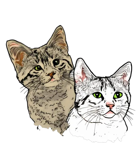 Whiskers and Paws: A Feline Friendship T-Shirts Pattern