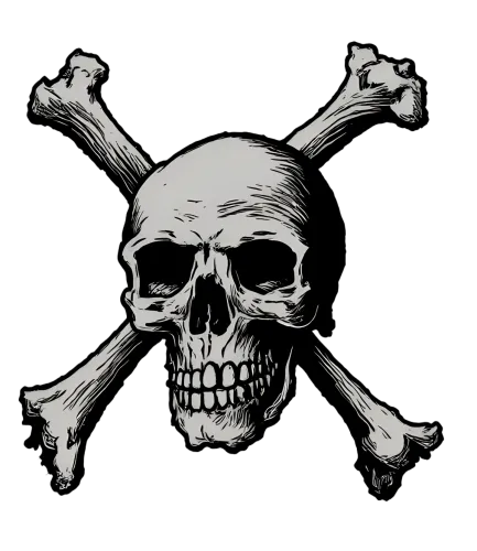 T-Shirt Printing: Skull & Crossbones Pirate Flag