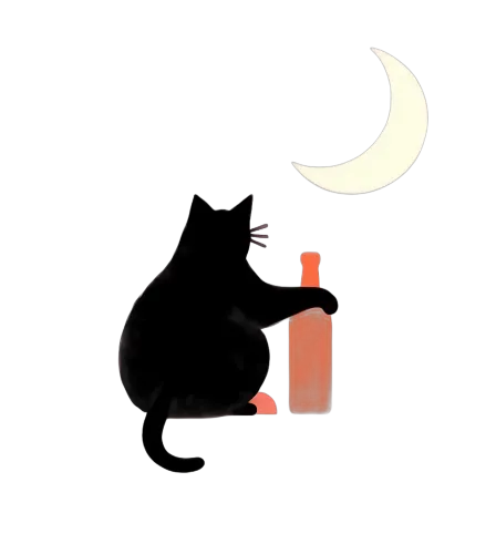 T-Shirts Custom: Black Cat Moonlight Mischief