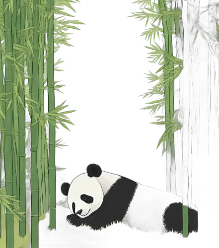 Graphic Tees: Panda Tranquility in Bamboo Forest