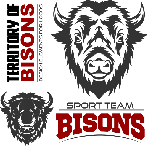 T-Shirts Design: Bold Bison - Strength and Unity