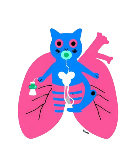 Customized Tee Shirts: Whimsical Cat and Lungs Design for Health Enthusiasts