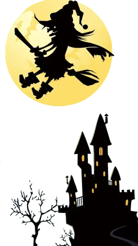 Tee Shirts Printed: Witch Flying Over Castle Under Full Moon