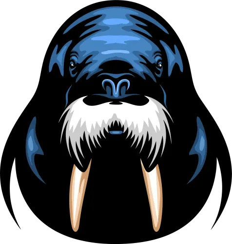 Custom Tee Shirts: Wise Walrus - Artistic Designs