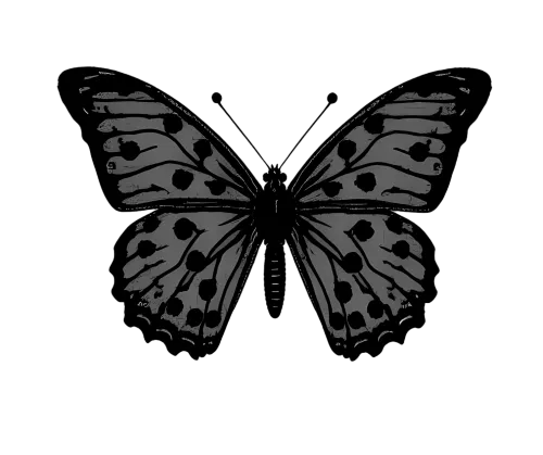 TShirt Design: Monochrome Butterfly - Transformation and Resilience