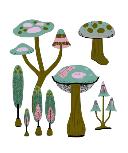 Customized Tee Shirts: Enchanted Forest Mushrooms