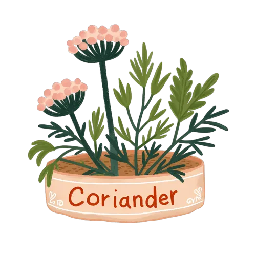 Custom T-Shirt Printing: Minimalist Coriander Plant Design