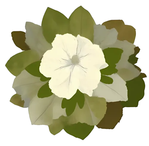 T-Shirts Design: White Flower Tranquility