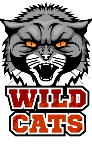 Tee Shirts Printed - Wildcats Sports Team Spirit