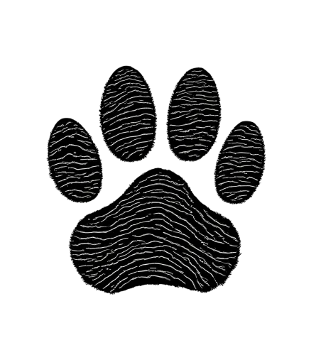 TShirt Printing: Unique Paw Print - Loyalty and Wisdom