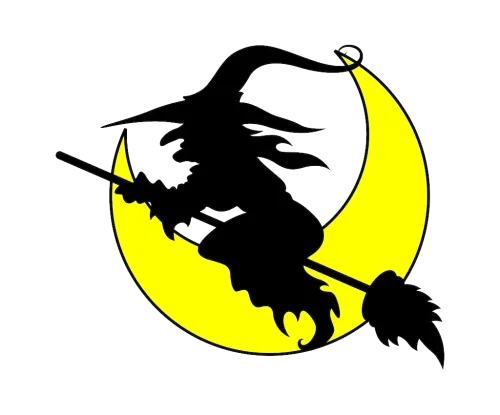 Tee Shirt Printing: Witch Silhouette Against the Moon - Magic and Adventure