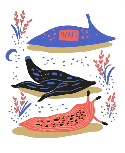 TShirt Design: Sea Slugs in a Vibrant Underwater World