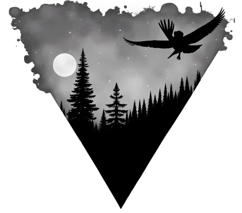 T-Shirt Printing: Owl's Flight Under the Moonlight