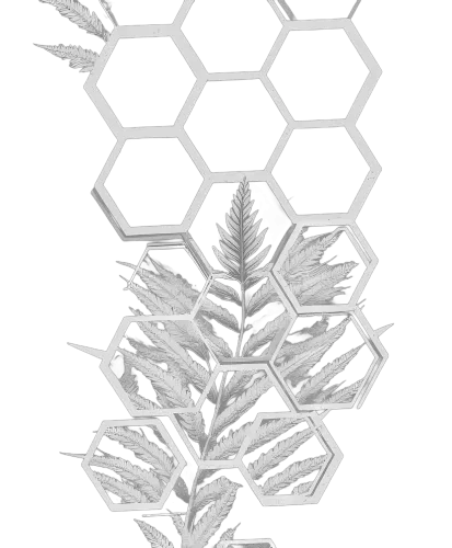 Shirts Graphic Tees | Ferns & Hexagons: A Blend of Nature and Geometry